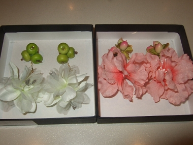 DSCF79050009.jpg